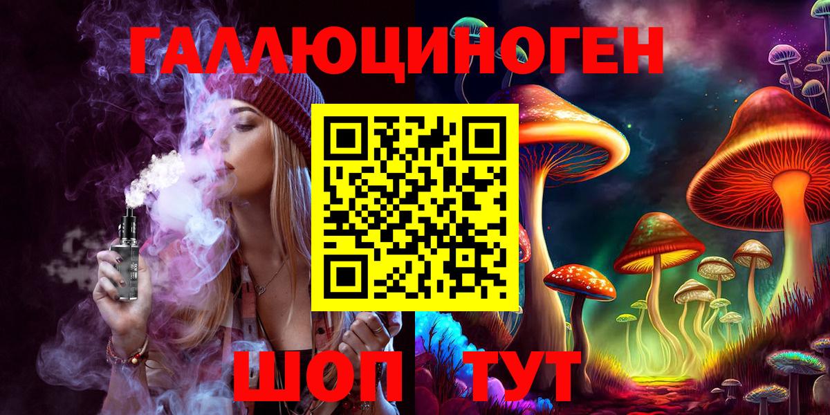 Псилоцибиновые грибы Cubensis Полысаево